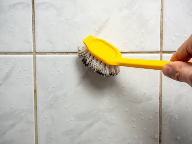 Best Mold Removal Company Near Me  in Caoncito, NM